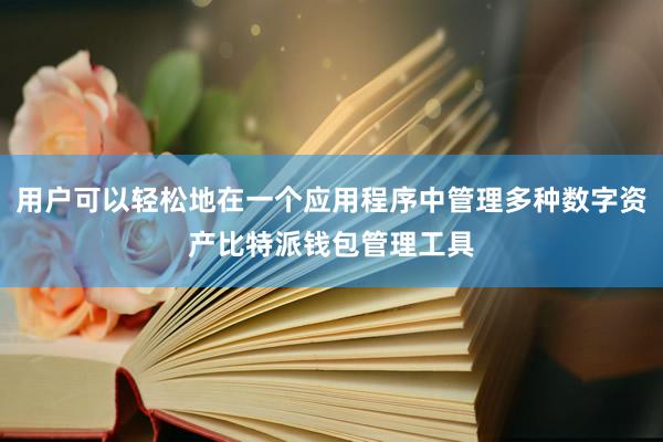 用户可以轻松地在一个应用程序中管理多种数字资产比特派钱包管理工具