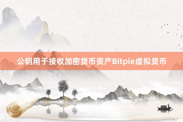 公钥用于接收加密货币资产Bitpie虚拟货币