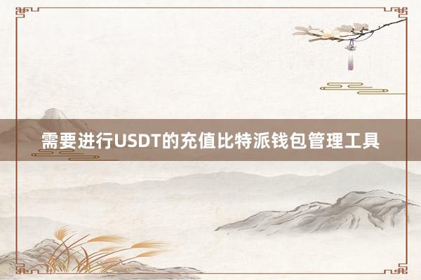 需要进行USDT的充值比特派钱包管理工具