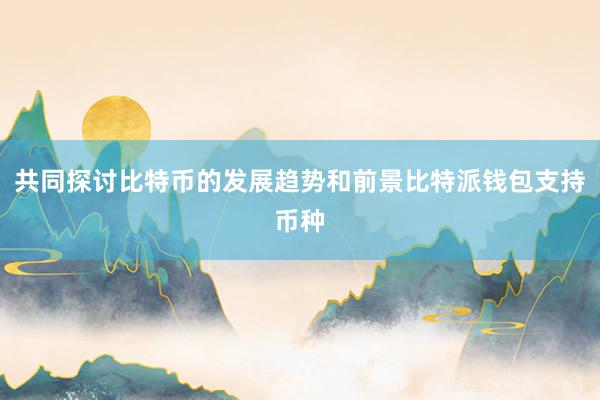 共同探讨比特币的发展趋势和前景比特派钱包支持币种