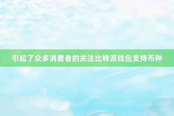 引起了众多消费者的关注比特派钱包支持币种