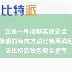 正是一种能够实现安全高效数据传输的有效方法比特派钱包安全指南